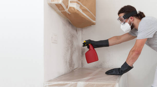 Professional Basement Mold Remediation technician working in Columbus, NJ