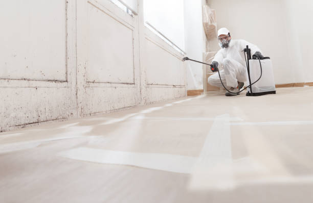 24/7 Emergency Basement Mold Remediation experts in Columbus, NJ