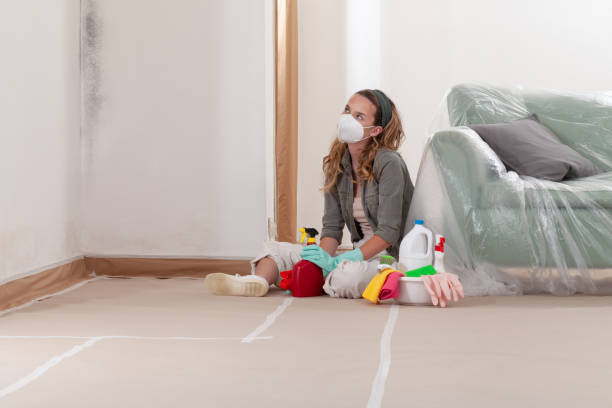 Reliable Basement Mold Remediation contractor in Columbus, NJ by WQB Mold Removal
